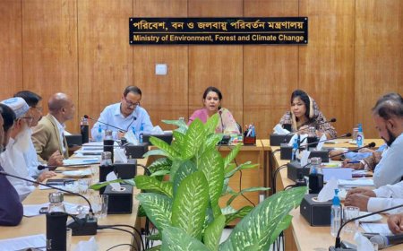 বন্ধ করা হবে সাড়ে ৩ হাজার অবৈধ ইটভাটা