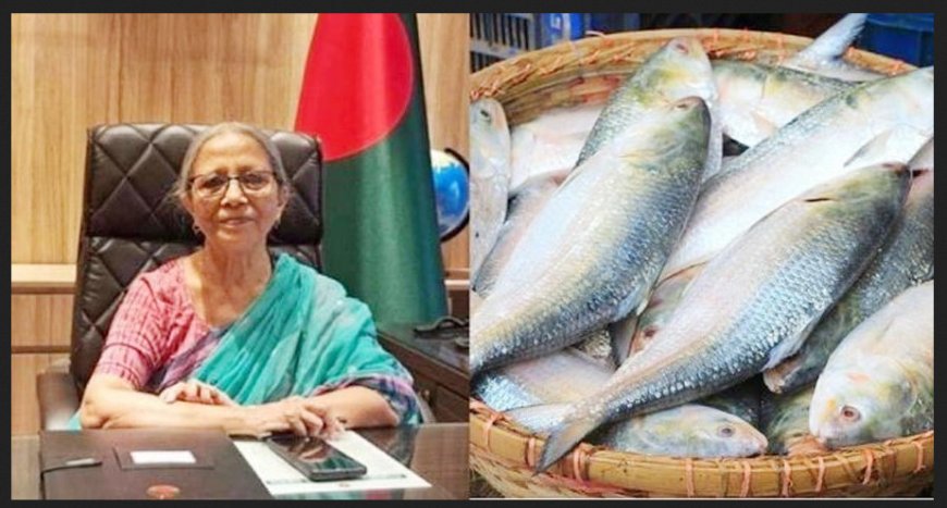 আমরা দুঃখিত কিন্তু ভারতে ইলিশ পাঠাতে পারব না, এটি দামী মাছ : মৎস্য ও প্রাণিসম্পদ উপদেষ্টা ফরিদা আখতার