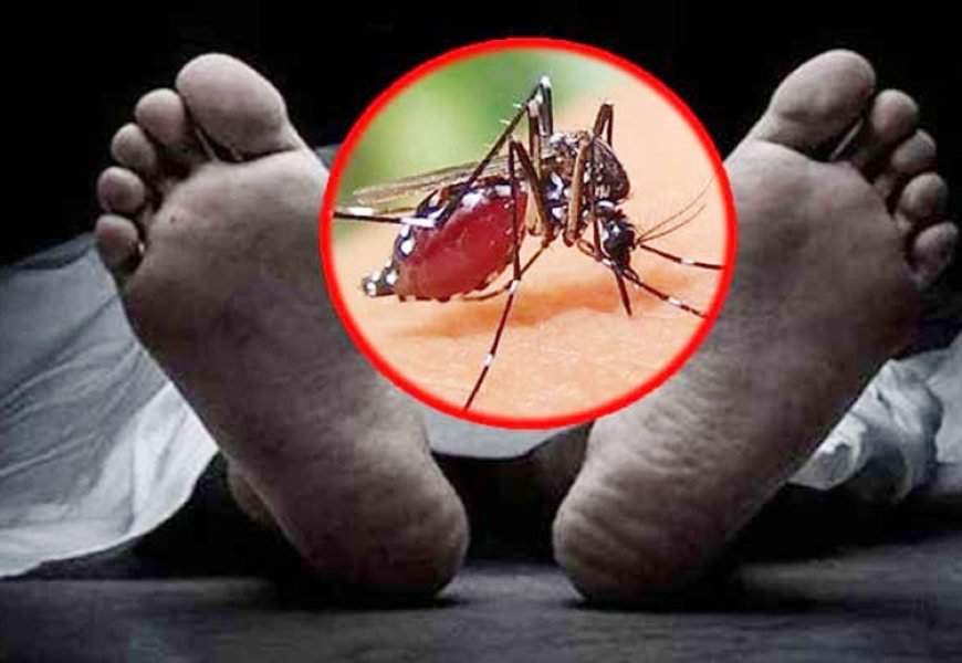 ডেঙ্গুতে আরো ছয় জনের মৃত্যু, হাসপাতালে ভর্তি ৮৬৫