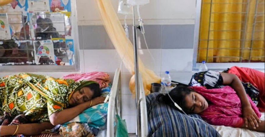 ডেঙ্গুতে মৃত্যু বাড়ছে এবং আক্রান্ত ২৩ হাজার ছাড়ালো